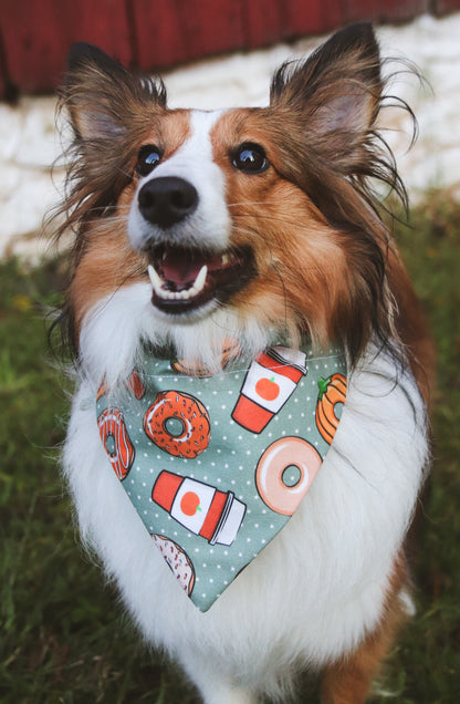Coffee & Pumpkin Donut Bandana