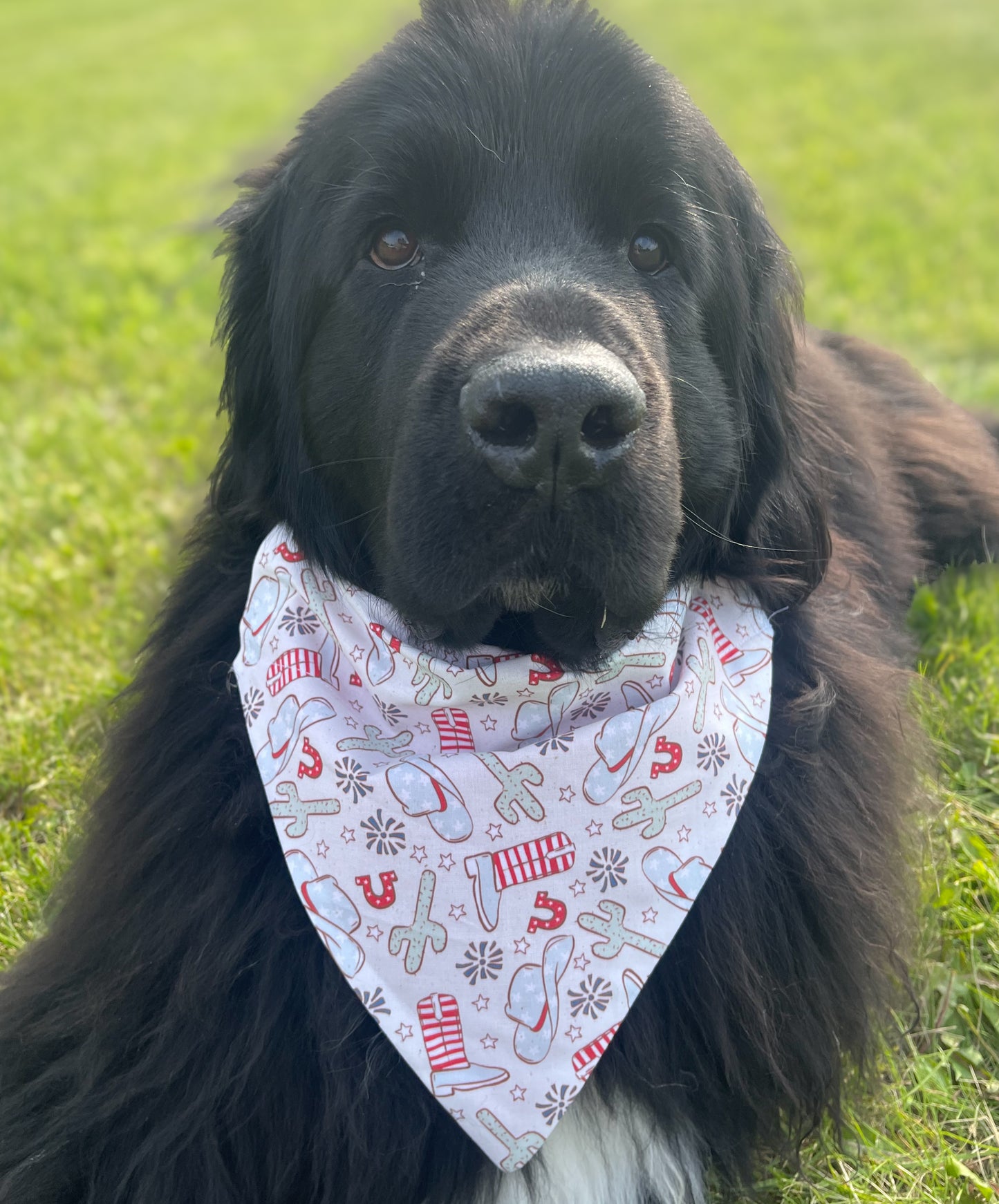 Americana Western Bandana