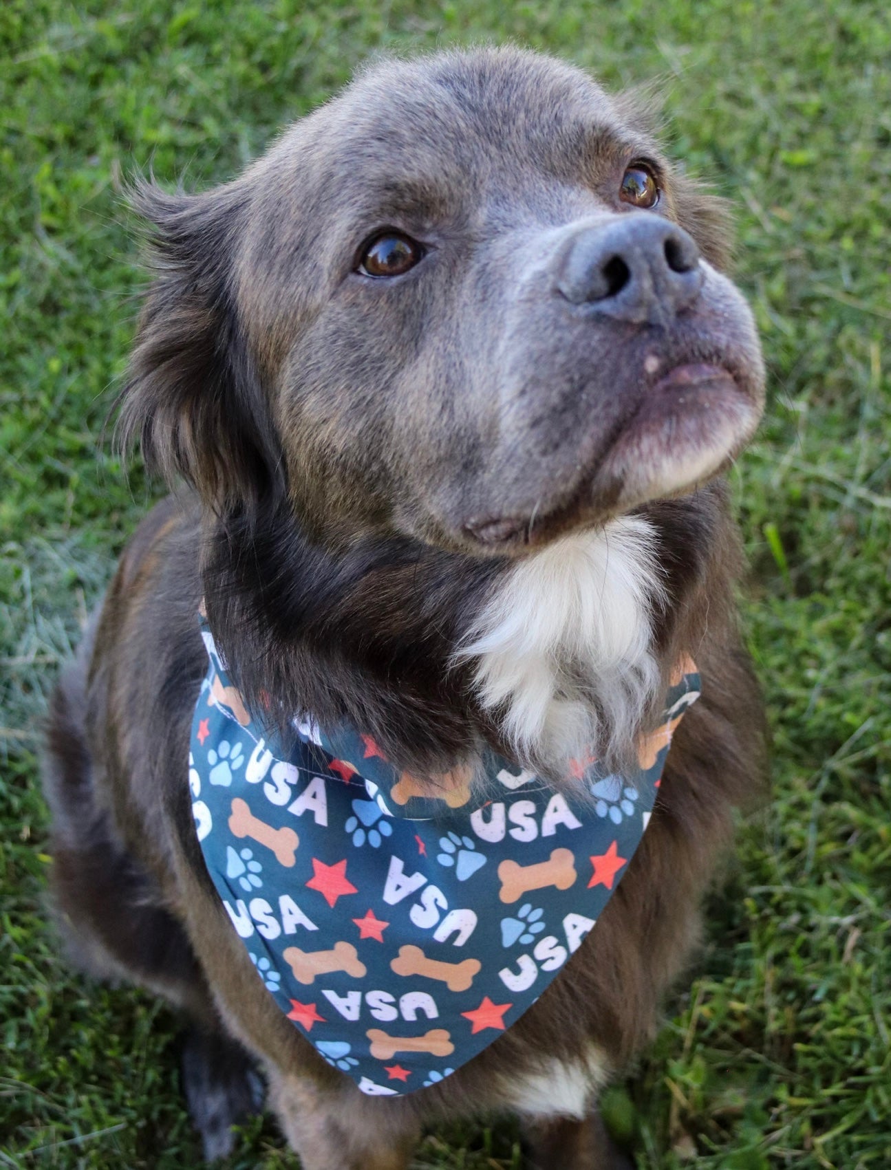 USA Bone Bandana