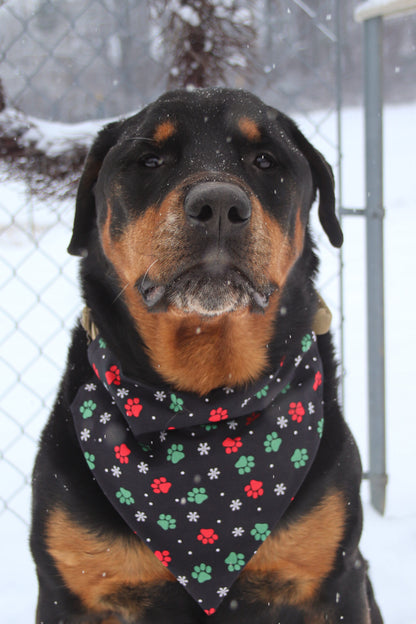Christmas Paw Print Bandana