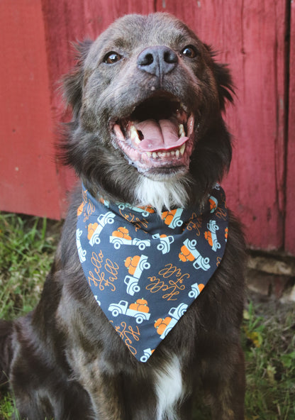 Hello Fall Truck Bandana
