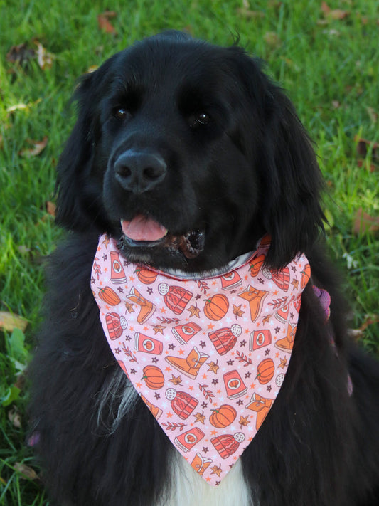 Uggs & Coffee Bandana