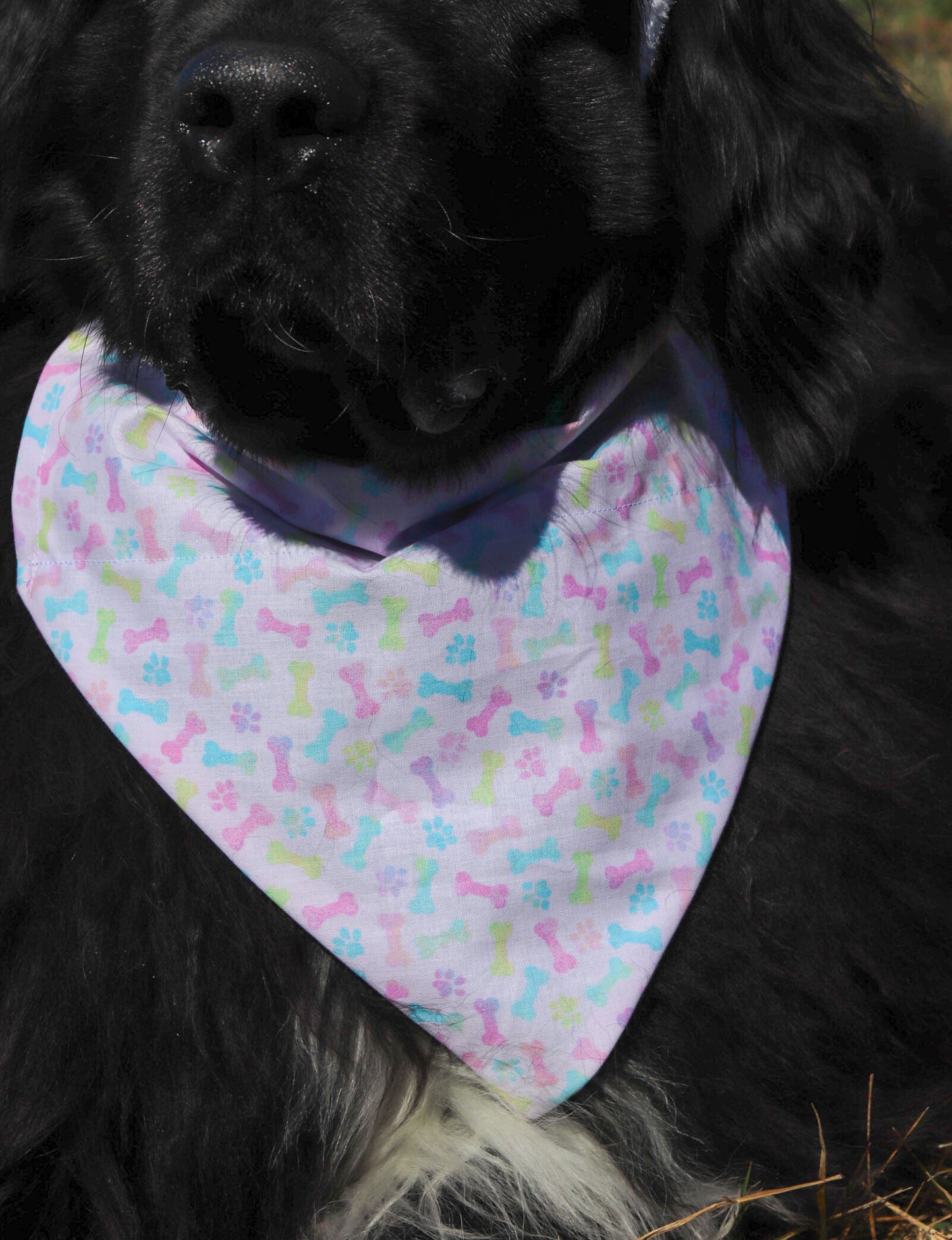 Pastel Pawprint & Bone Bandana