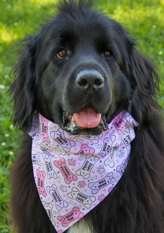 Puppy Love Bandana
