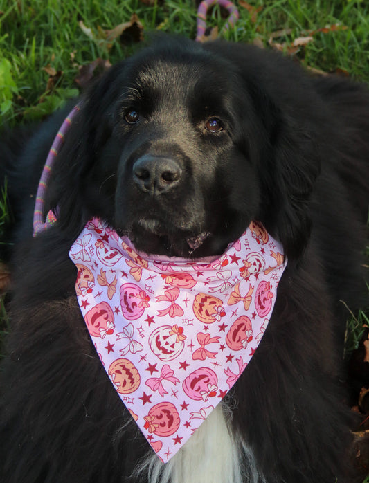 Girly Pumpkin Bandana