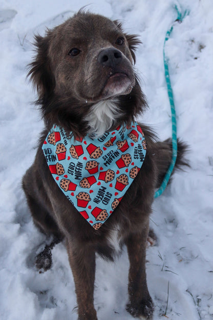 Stud Muffin Bandana