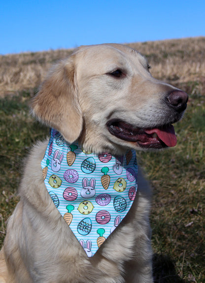 Striped Easter Donut Bandana