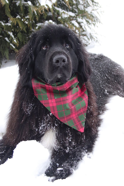 Green & Red Plaid Bandana