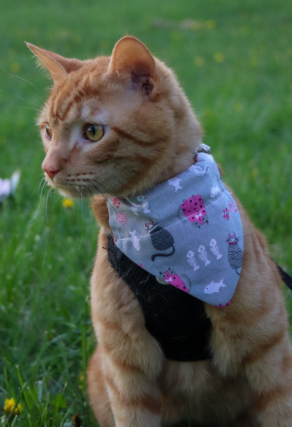 Fishbone Cat Bandana