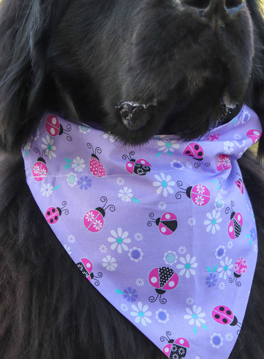 Purple Ladybug Bandana