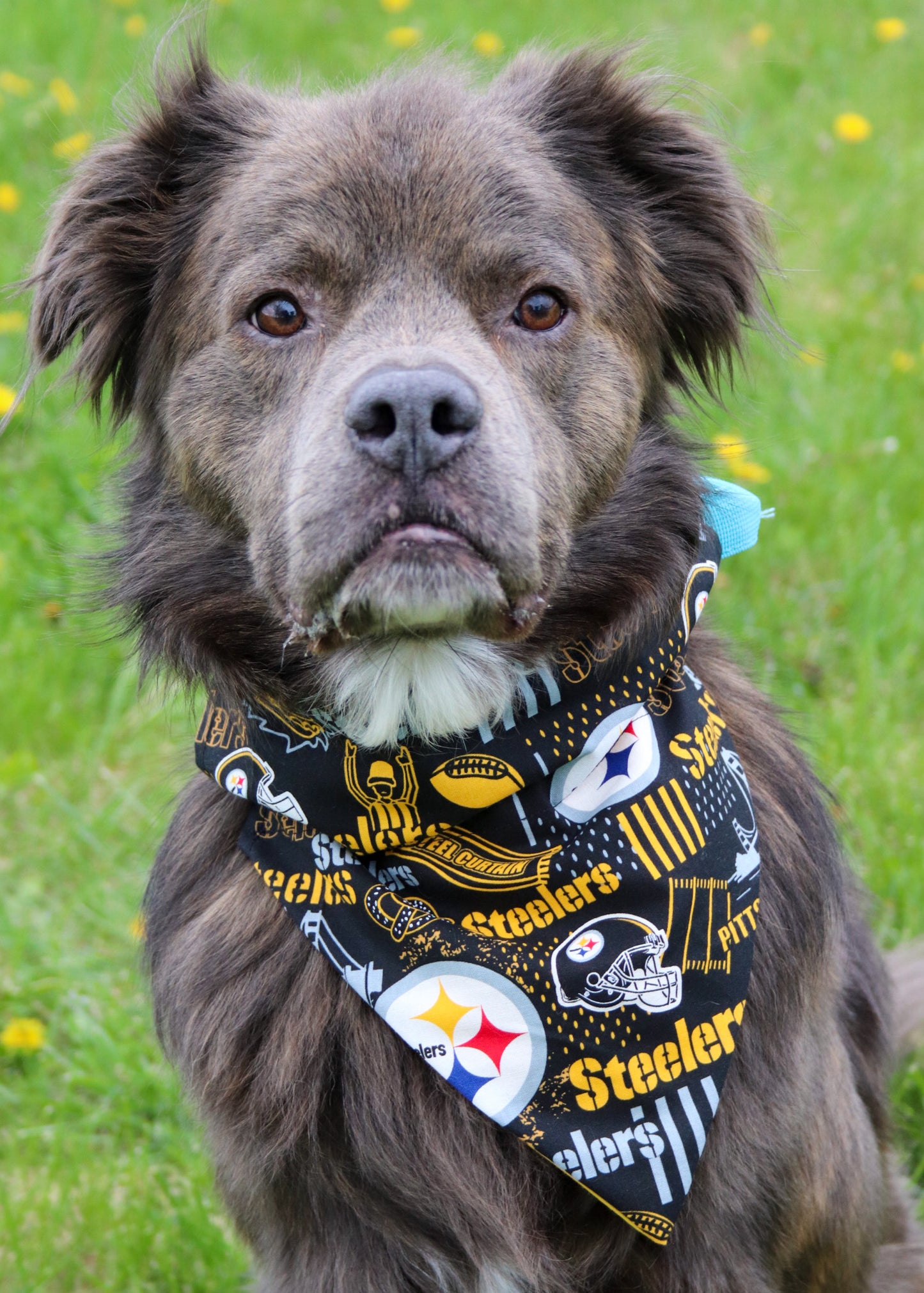 Steelers Bandana