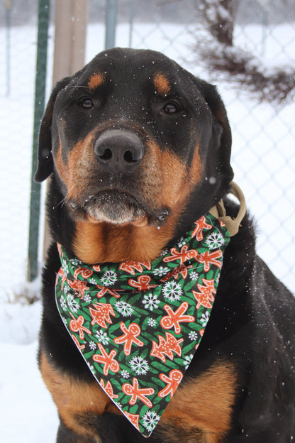 Green Gingerbread Bandana