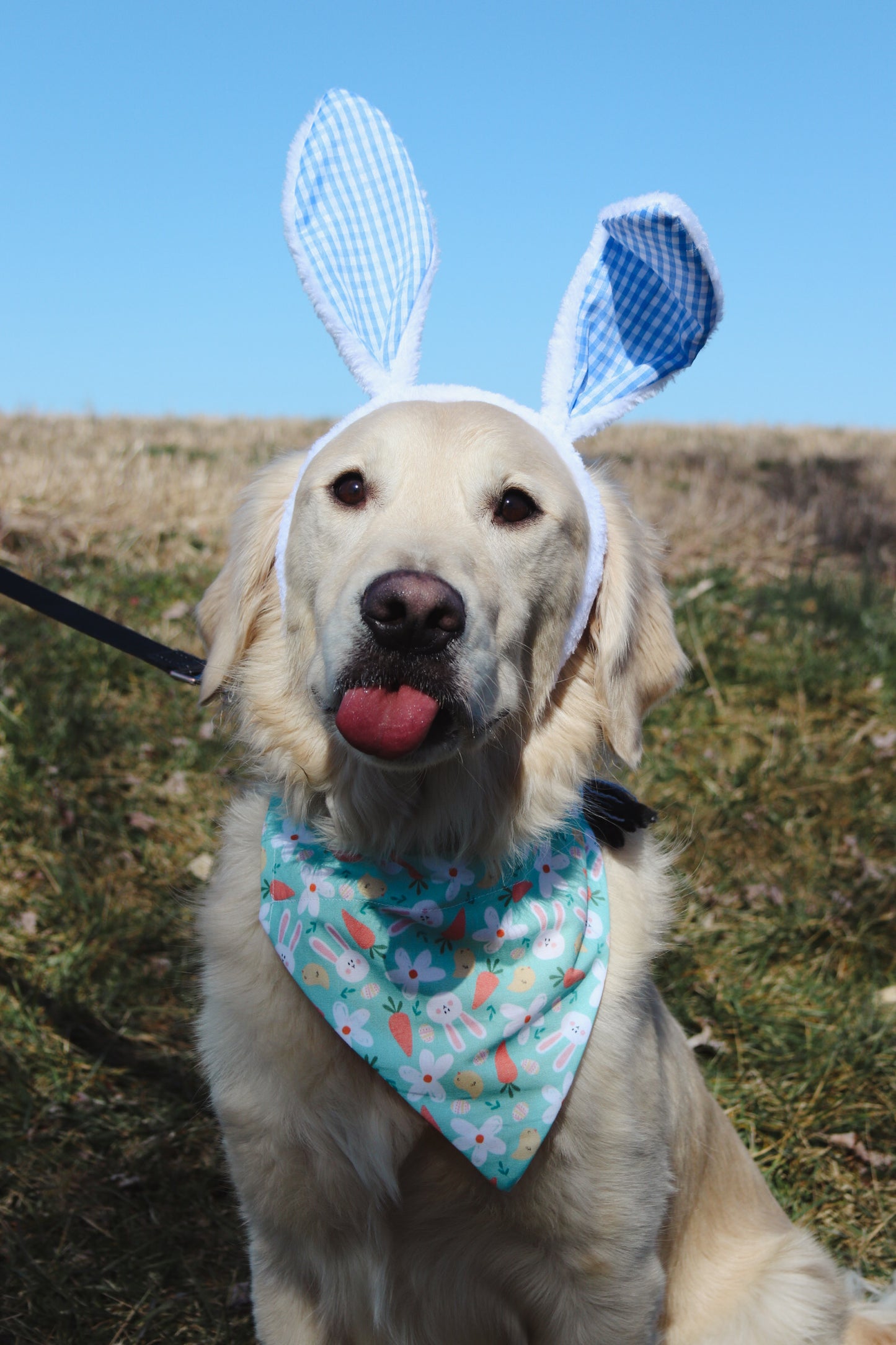 Bunnies & Chicks Bandana