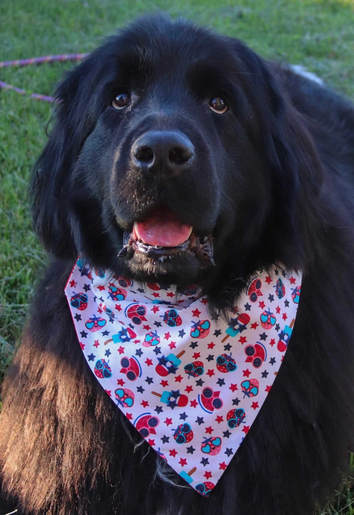 Glitter Fruit Bandana