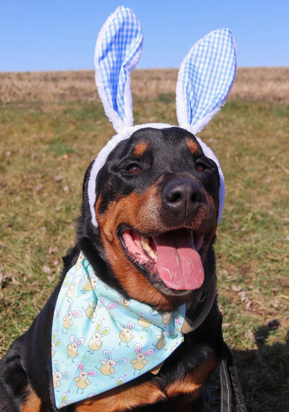 Bunny Ear Chick Bandana