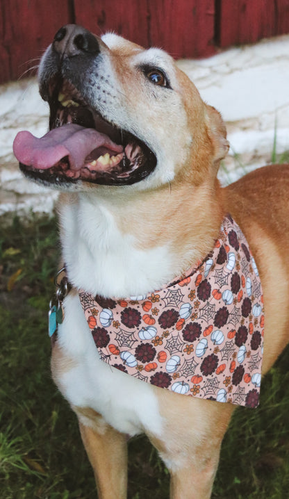 Pumpkin/Cobweb/Mums Bandana