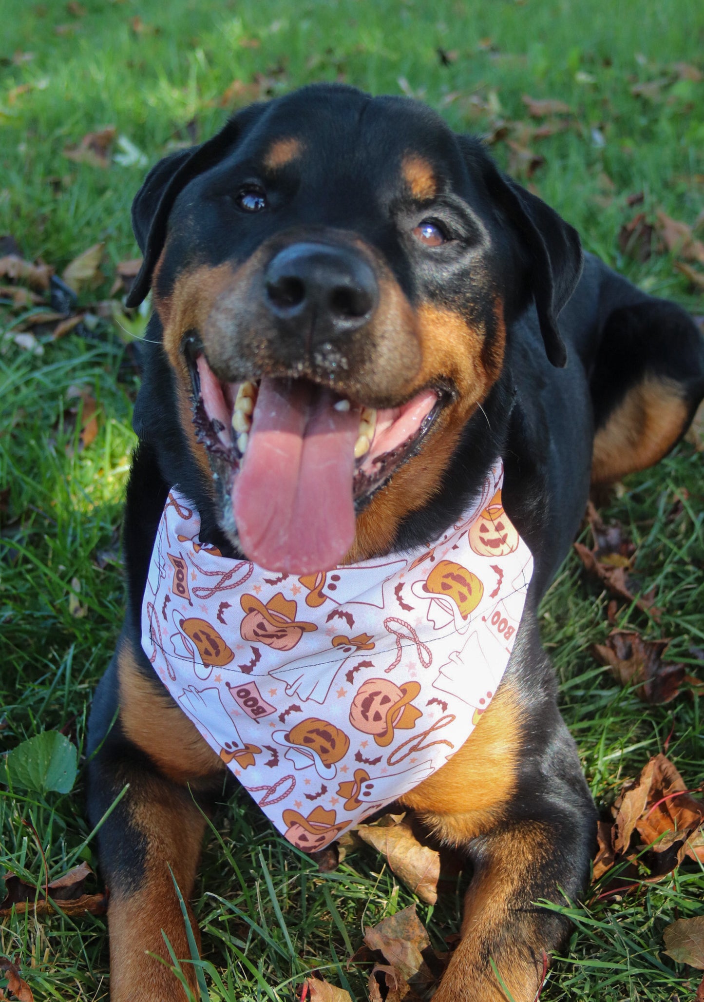 Cowboy Halloween Bandana