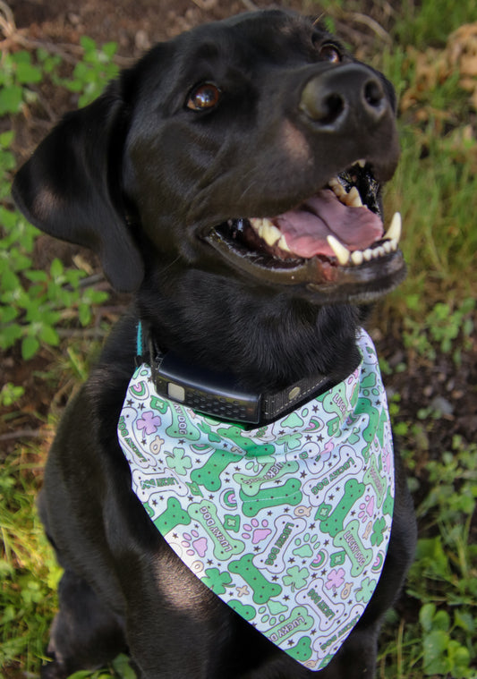 Lucky Charms Bandana