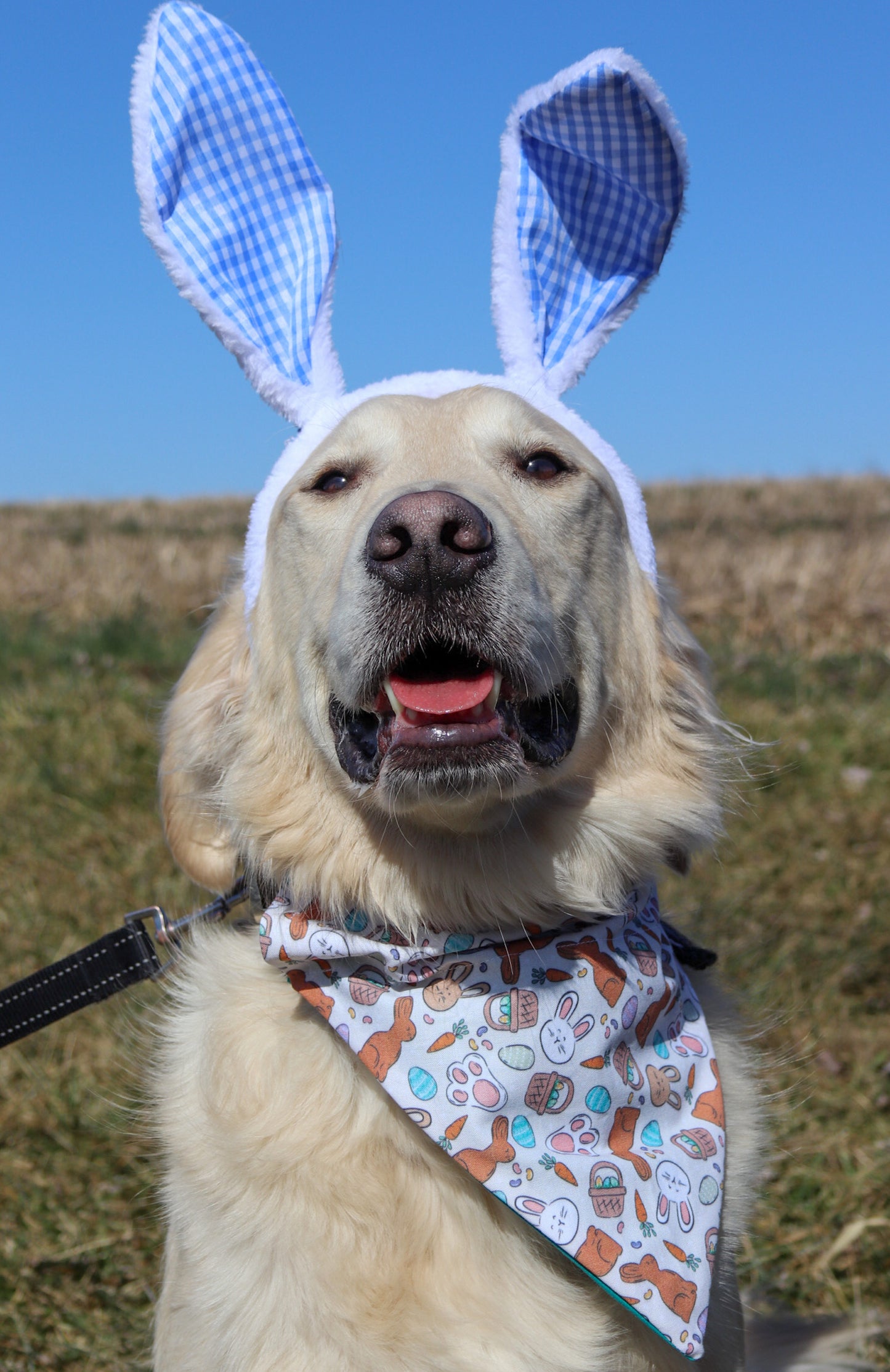 Chocolate Bunny Bandana