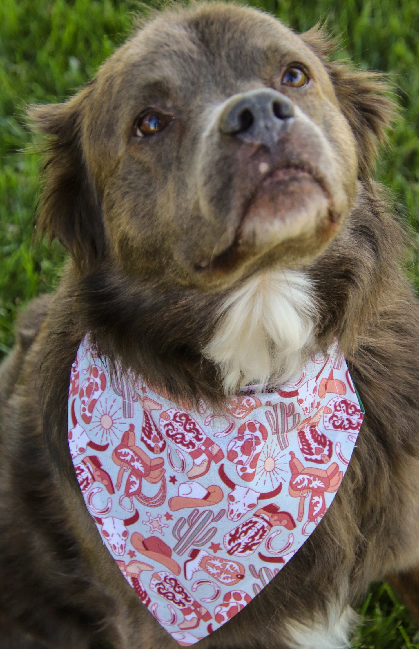 Western Cactus bandana