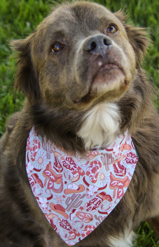Western Cactus bandana