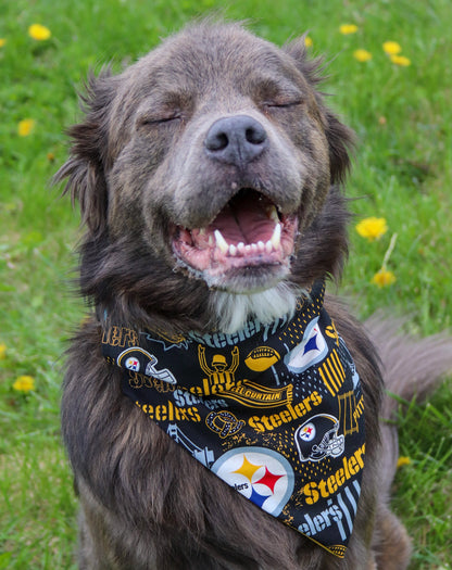 Steelers Bandana