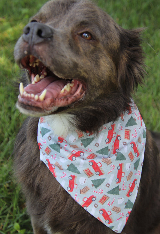 Tree Farm Bandana
