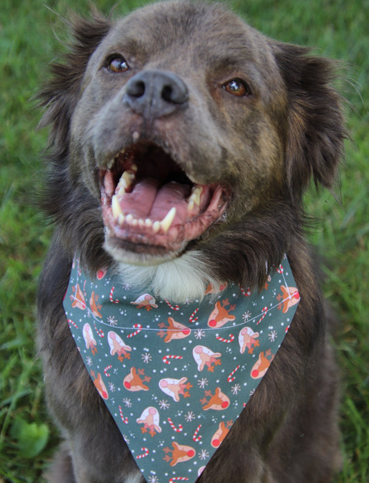 Rudolph Reindeer Bandana