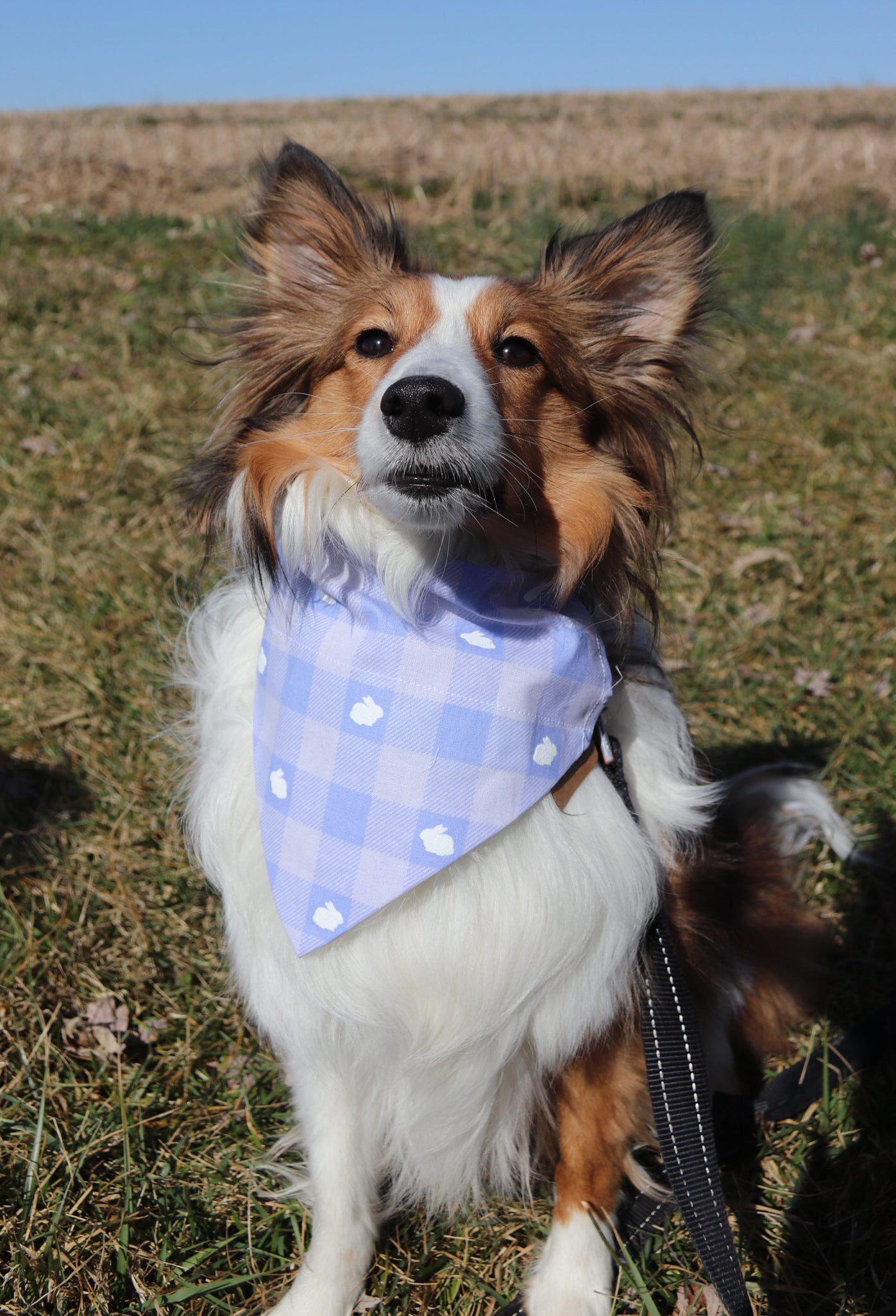 Plaid Bunnies Bandana