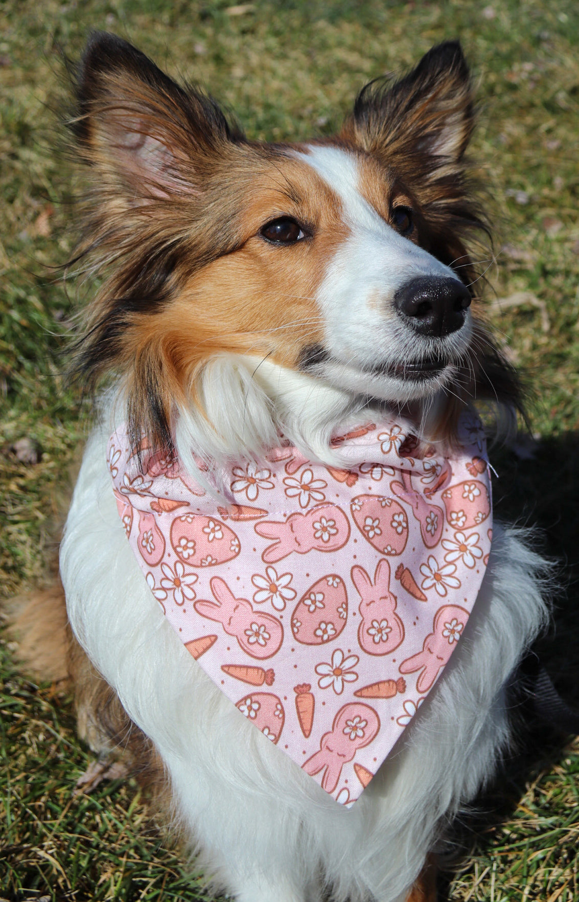 Groovy Bunny Bandana