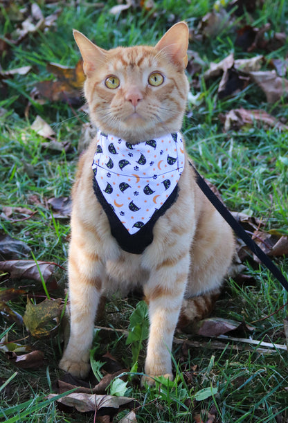 Black Cat Halloween Cat Bandana