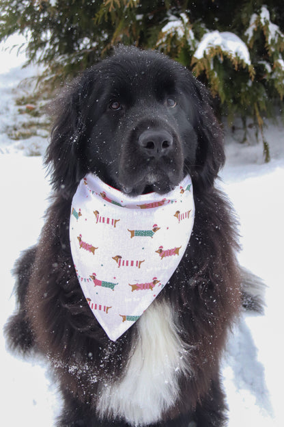 Dachshund Christmas Bandana