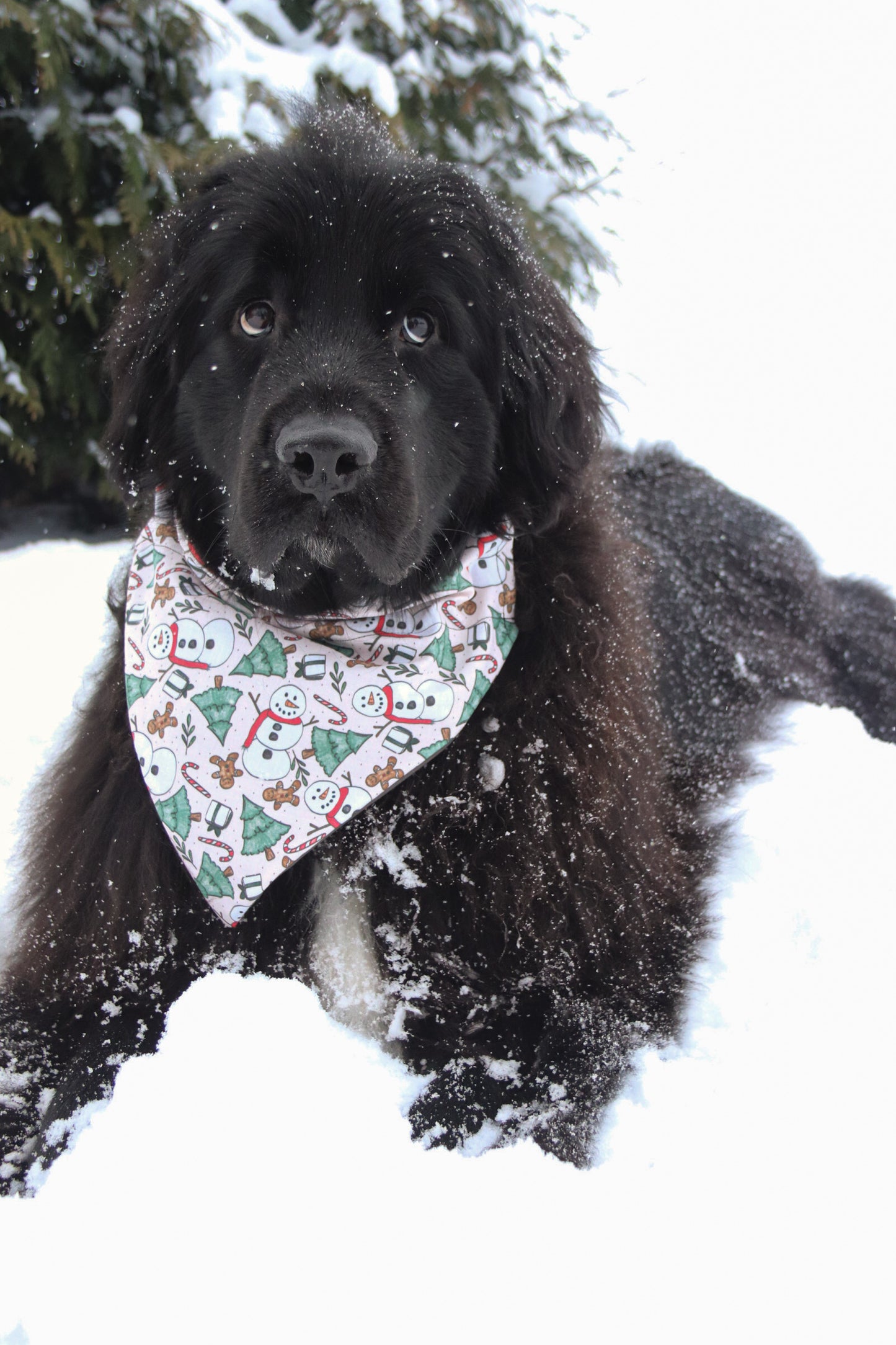 Vintage Snowman Bandana