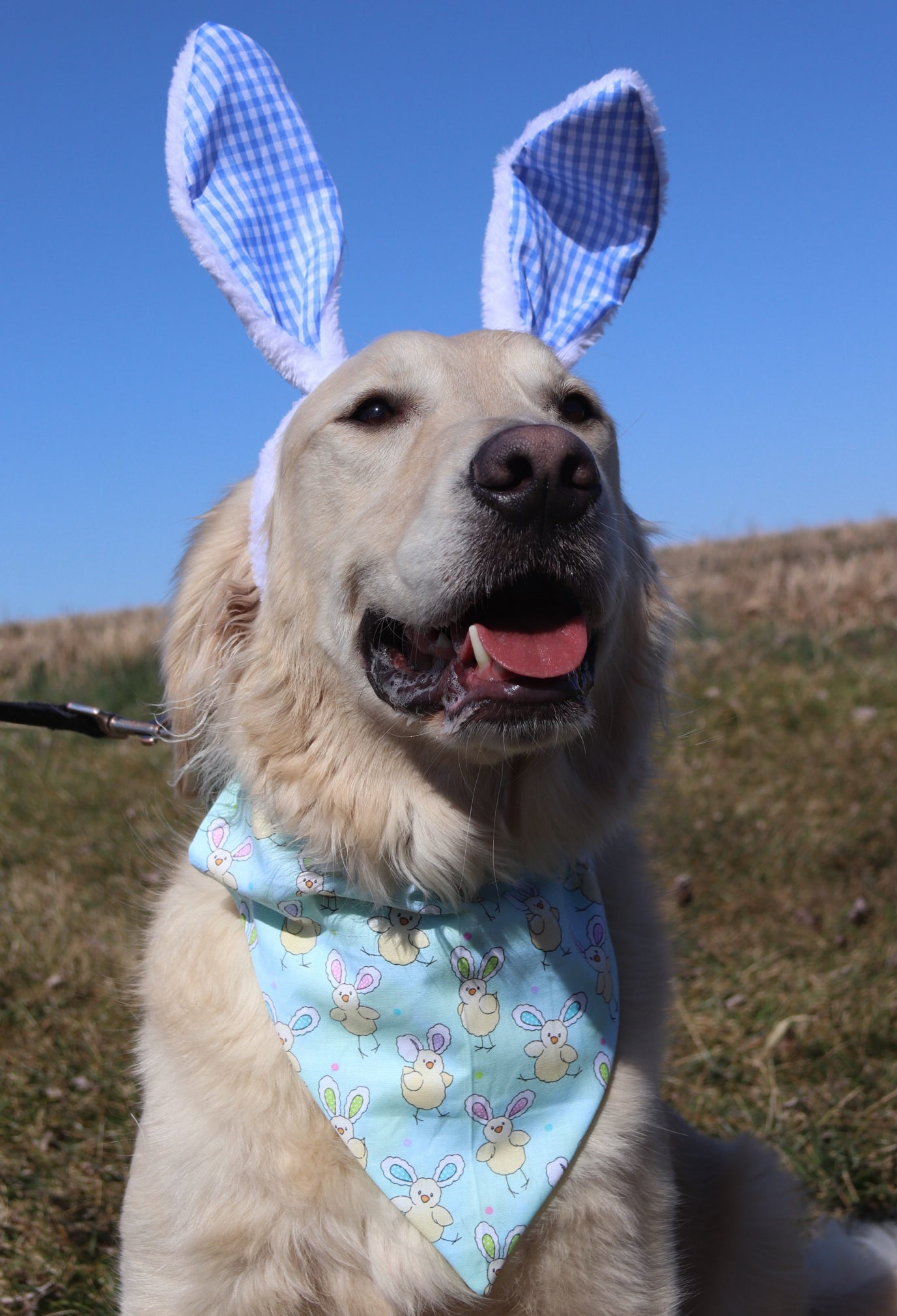 Bunny Ear Chick Bandana