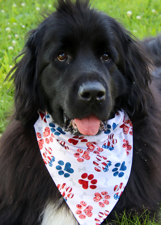 Patriotic Pawprint Bandana
