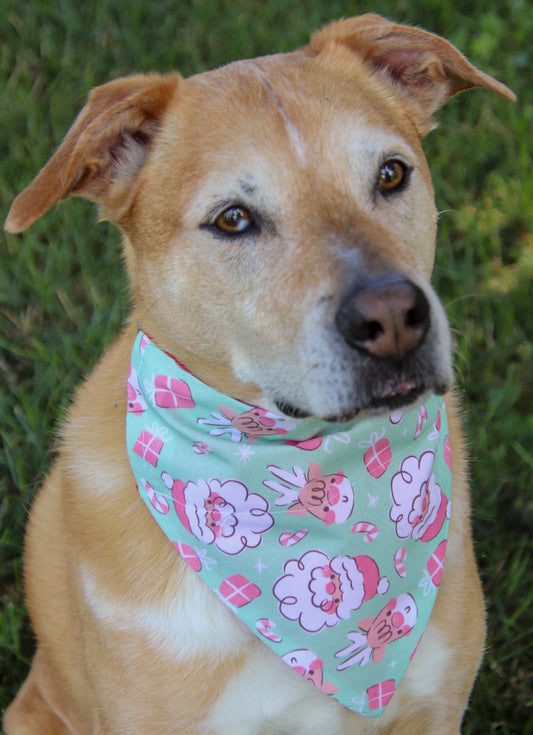 Pastel Santa & Rudolph Bandana