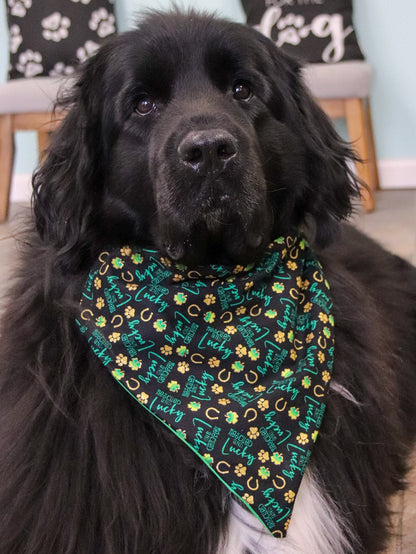“Lucky and Rescued” Shamrock Bandana