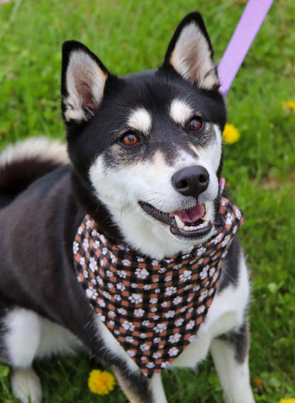 Fuzzy Plaid Pawprint Bandana