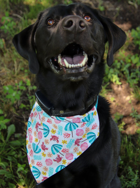 Seashell & Crab Bandana