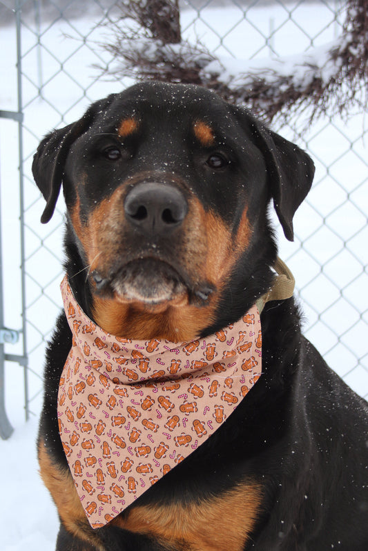 Little Gingerbread Bandana