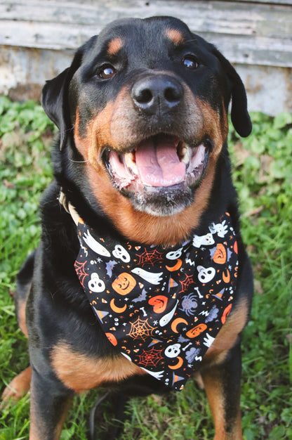 Pumpkin/Ghost/Skeleton Bandana
