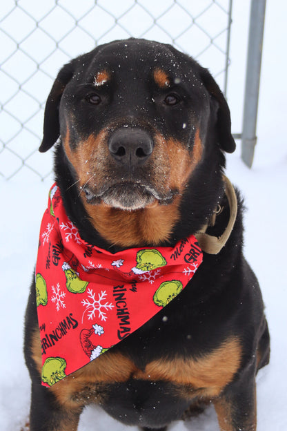 Merry Grinchmas Bandana