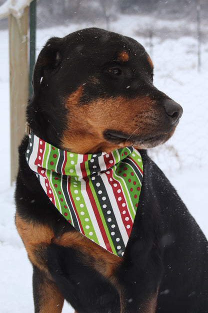 Polka Dot & Striped Christmas Bandana
