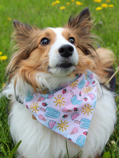 Summer Popsicle Bandana
