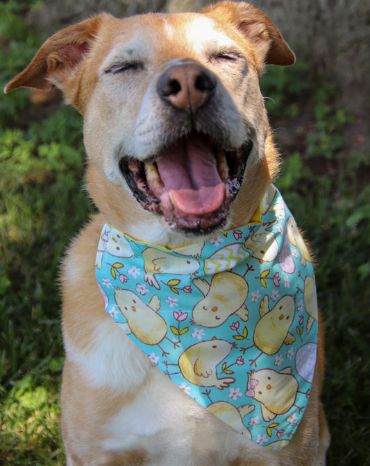 Chicks & Tulips Bandana