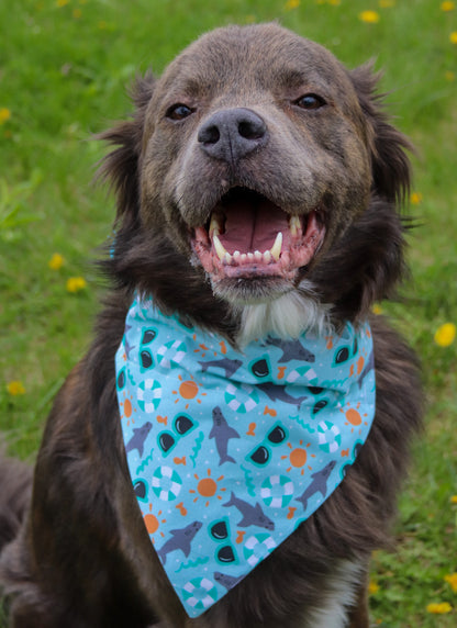 Beach Bandana