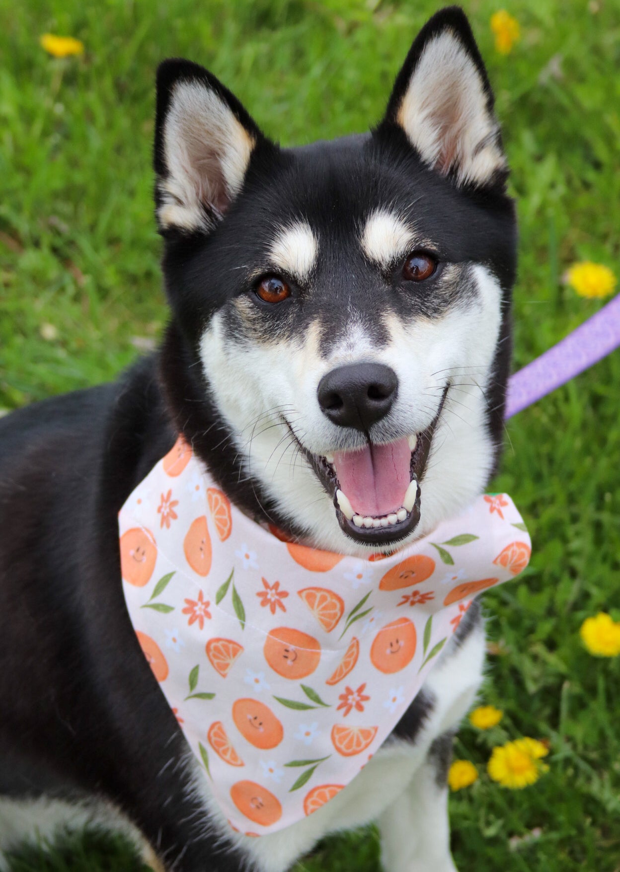 Smiley Orange Bandana