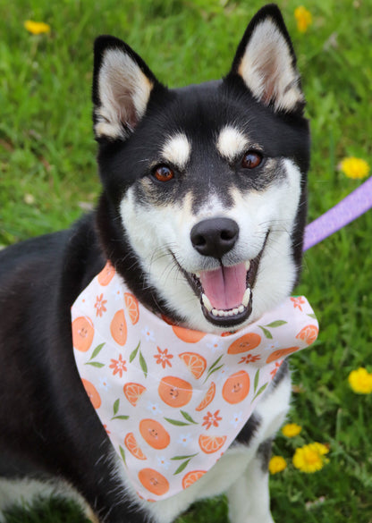 Smiley Orange Bandana