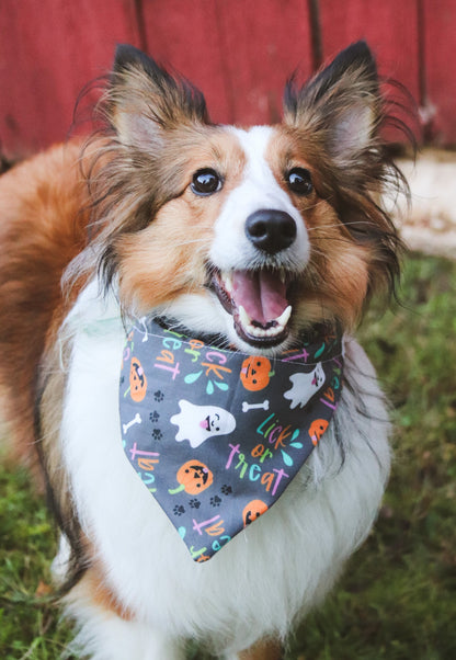 Lick or Treat Bandana