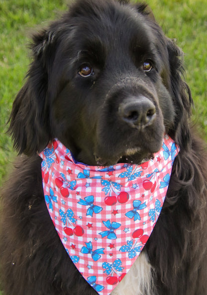 Cherry Plaid Bandana